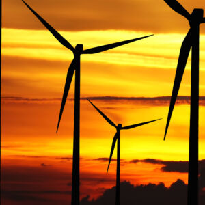 We want to make sure that when future generations look back at the early 21st century, they see it as a time when mankind embraced the energy revolution. Working with some of the world's largest corporations, we help identify new partners and emerging trends that are reshaping the fossil fuel industry and incorporating renewable sources into the energy ecosystem.